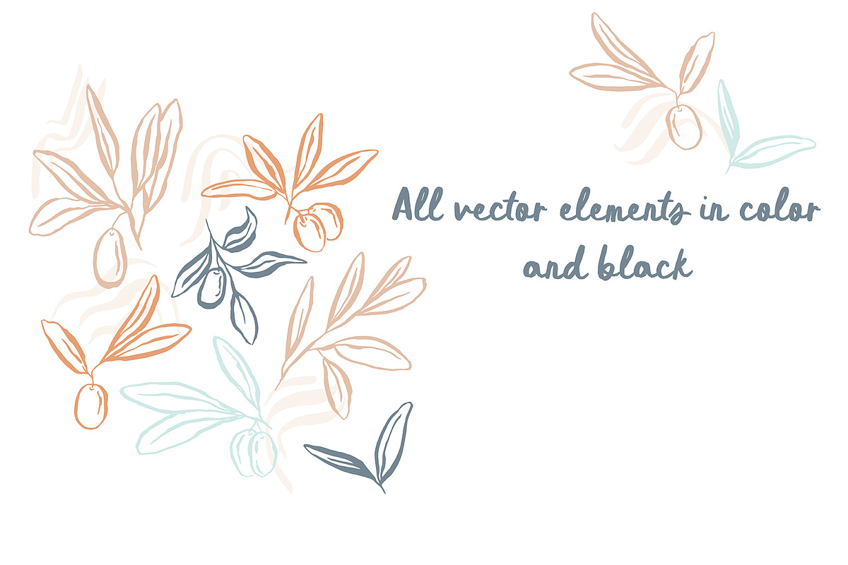 Mediterranean Olives Graphic Set, a Graphic by Alicia Bruce Creative (Photo 6 of 8)