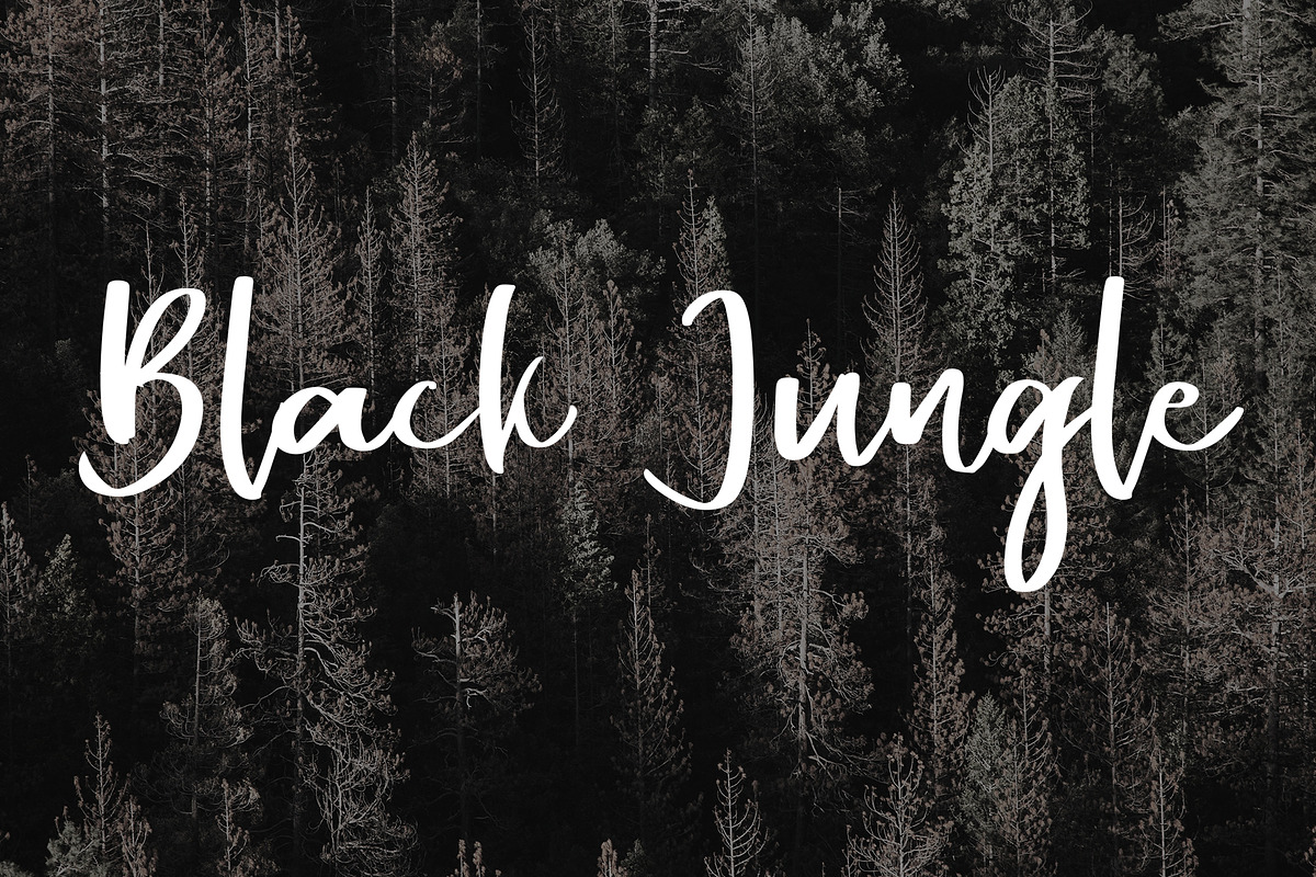 Alentine Typeface 2 Font preview 4
