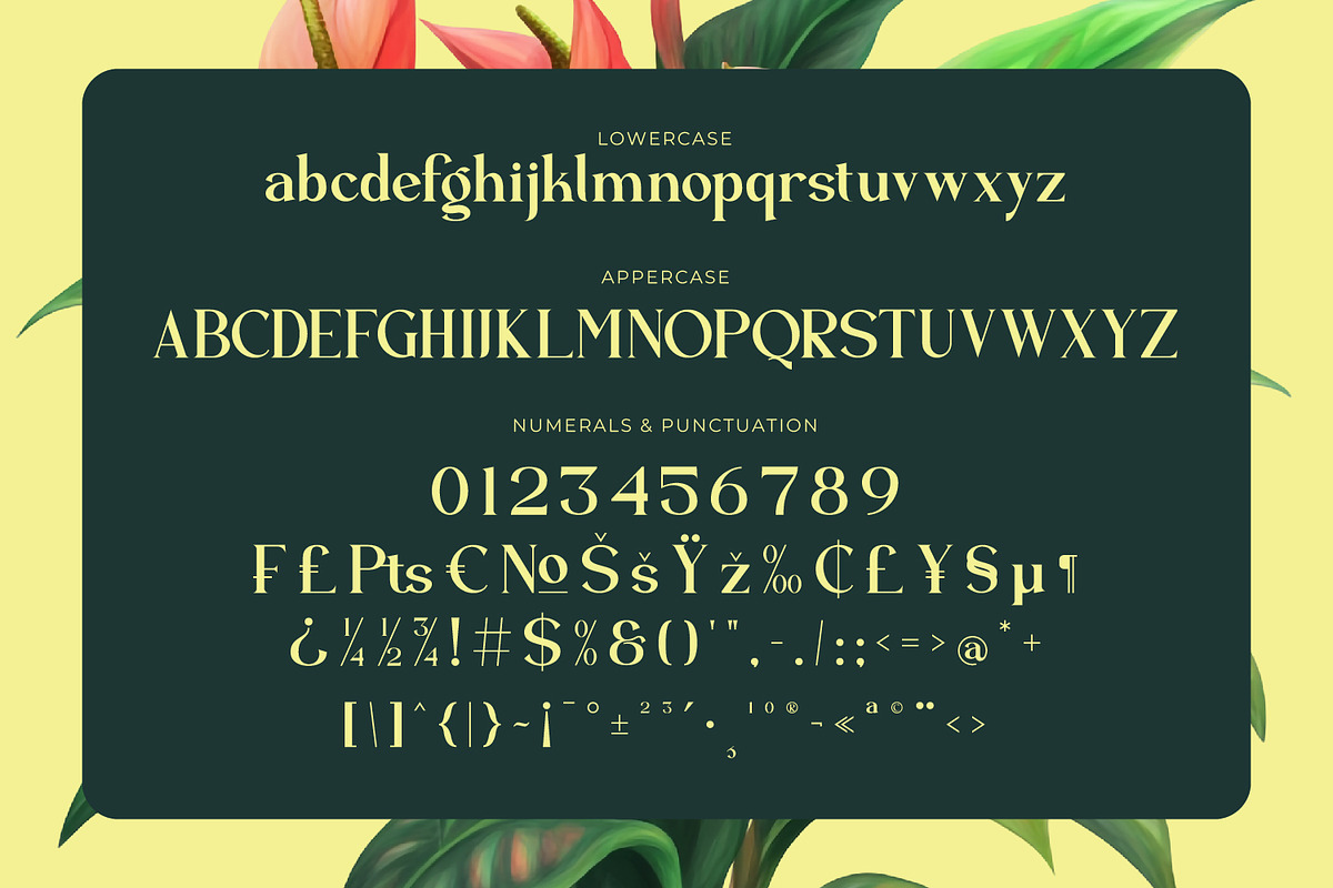 Zearlith - Modern Serif Font, a Serif Font by Rishsketch (Photo 13 of 15)