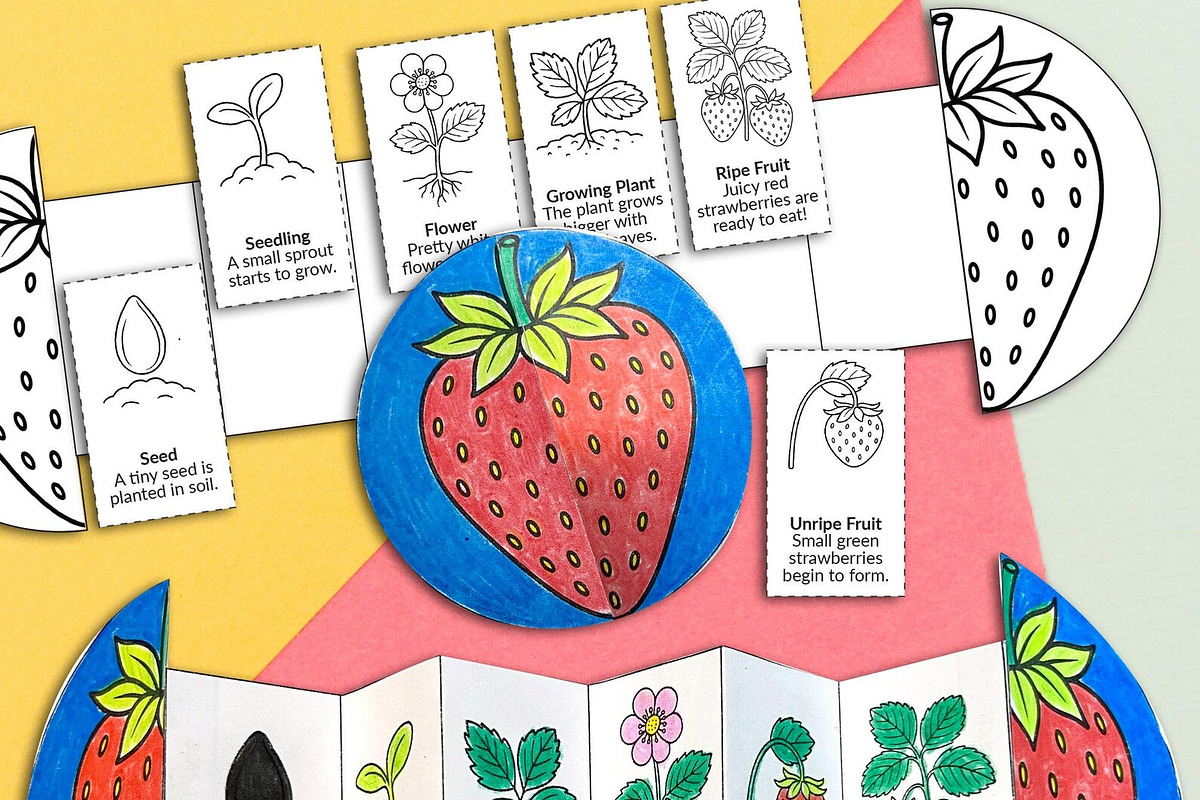 Foldable Life Cycle Bundle, a Stationery Template by AIW SOLUTIONS (Photo 3 of 11)