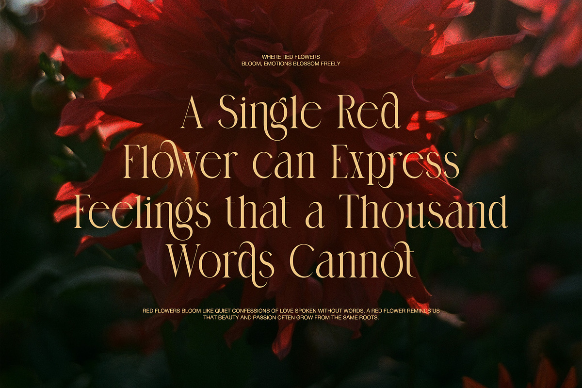Sangid Elegant Serif Font, a Serif Font by Graphicxell (Photo 5 of 8)
