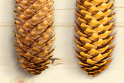 Autumn Floral Mockup Objects, an Object Graphic by uncle-rico (Thumbnail 8 of 13)
