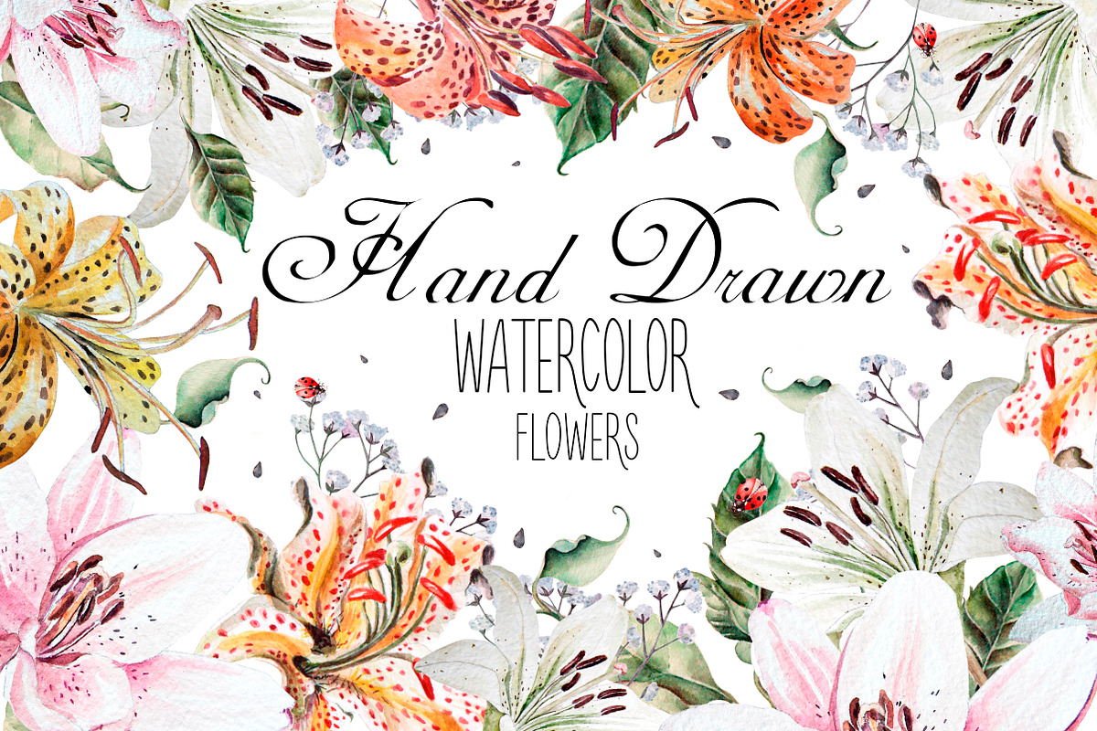 Hand Drawn watercolor flowers lily, an Object Graphic by Knopazyzy (Photo 4 of 6)