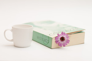 Flower and book 3 featuring flower, book, and read