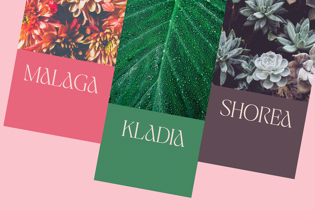 Jaella - Modern Serif Font, a Serif Font by creativemedialab (Photo 10 of 15)