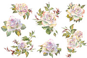 Romantic Watercolor Rose Clipart, a Decorative Illustration by Jeanna Draw (Thumbnail 3 of 17)