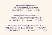 Grise - Variable Serif (18 Fonts), a Serif Font by VectorKiss GraphicsSupply (Thumbnail 3 of 18)
