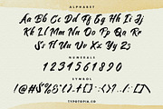 Sandye Script Font, a Script Font by edukka (Thumbnail 5 of 7)