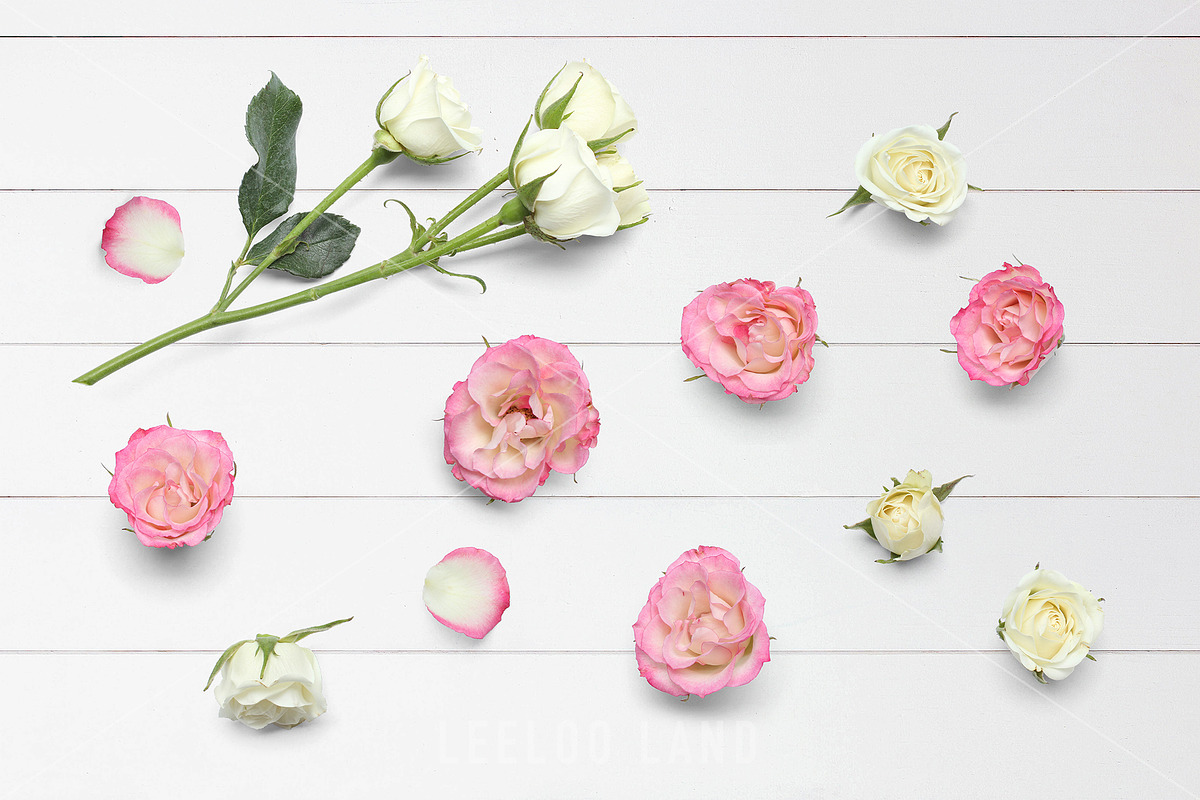 Floral Flatlay Scene Creator Rosette, a Product Mockup by ILLONA GRAPHICS (Photo 4 of 5)