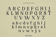 Silk Display, a Font by LuhopCreative (Thumbnail 15 of 17)