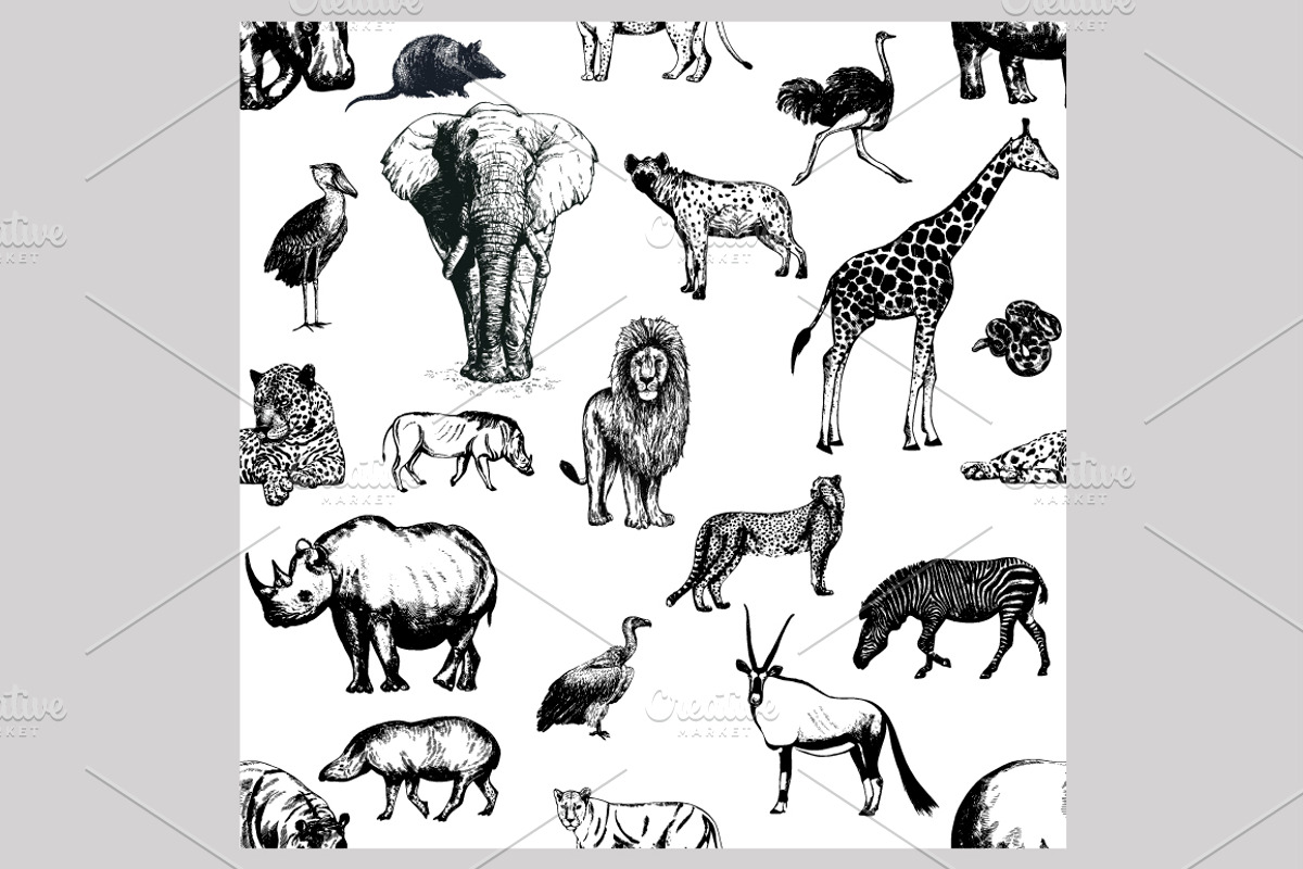 Wild Animals 3, an Animal Illustration by Ecaterina Sciuchina (Photo 3 of 5)