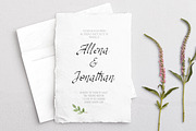RSVP Display Calligraphy Font +, a Font by DailyMiracleDigitals,LLC (Thumbnail 4 of 12)