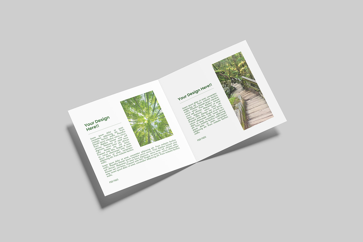 Square Bifold Brochure Mockup, a Books & Magazine Mockup by Graphiculon (Photo 4 of 11)