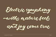 Dragonvoid a Bold & Retro Script, a Script Font by Lettertype Studio (Thumbnail 9 of 17)