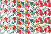 Tropical plants set, an Illustration by Watercolor life (Thumbnail 13 of 13)
