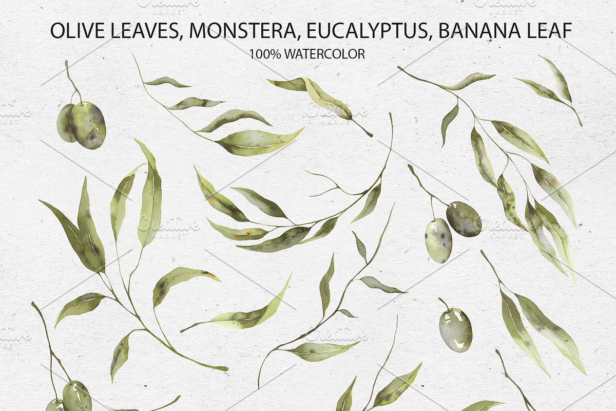 Watercolor leaves collection, a Decorative Illustration by Maria's little shop (Photo 2 of 9)