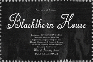 Blackthorn House Vintage Gothic Font, a Script Font by AnMark