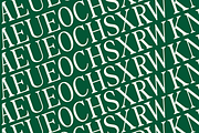 The Foriene Serif Font, a Serif Font by Rasio Studio (Thumbnail 12 of 15)