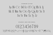 Bodera Elegant Display Serif Font, a Serif Font by RantautypeStudio (Thumbnail 18 of 19)