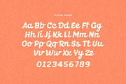 Dunley; Soft Script, a Script Font by Eko Bimantara (Thumbnail 9 of 9)