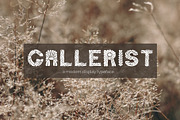 Matisse, Display Font in 2 colors, a Handwritten Font by DearLetters (Thumbnail 8 of 15)