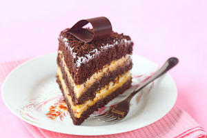 Piece of Chocolate Layer Cake