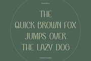 VEN - Display Typeface, a Font by Dat Do (Thumbnail 16 of 25)