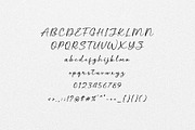 Wing Signature - Elegant Script, a Script Font by Salamahtype (Thumbnail 6 of 8)