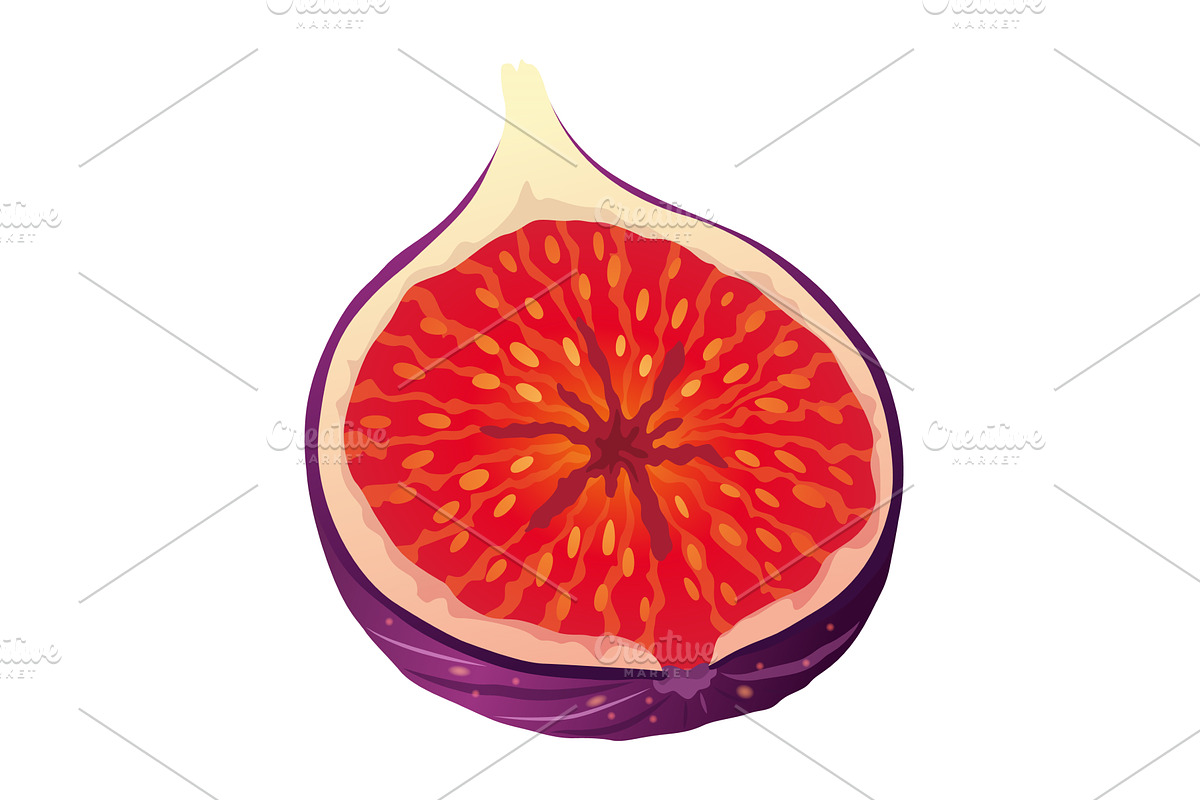 Fig Fruit Cut with Thin Skin and, a Food Illustration by the8monkey