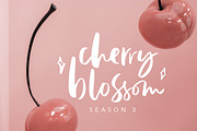 Lindsay Brown Script (+EXTRAS), a Script Font by Sarid Ezra (Thumbnail 4 of 9)