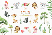 Exotic Baby Animals, an Animal Illustration by StarJam (Thumbnail 6 of 7)