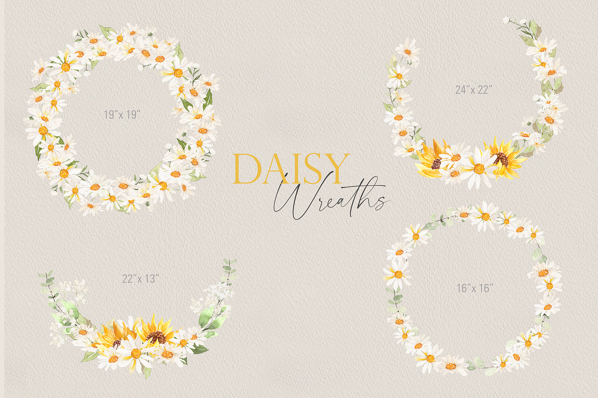 Watercolor flower - Daisy Set, an Illustration by Beigetime (Photo 6 of 10)