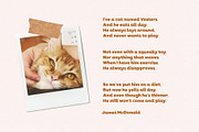 Ginger cat | Hand-drawn sans, a Sans Serif Font by AngelinaKovel (Thumbnail 12 of 13)