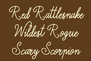 CS Crofte - Font Duo, a Handwritten Font by Craft Supply Co. (Thumbnail 4 of 8)