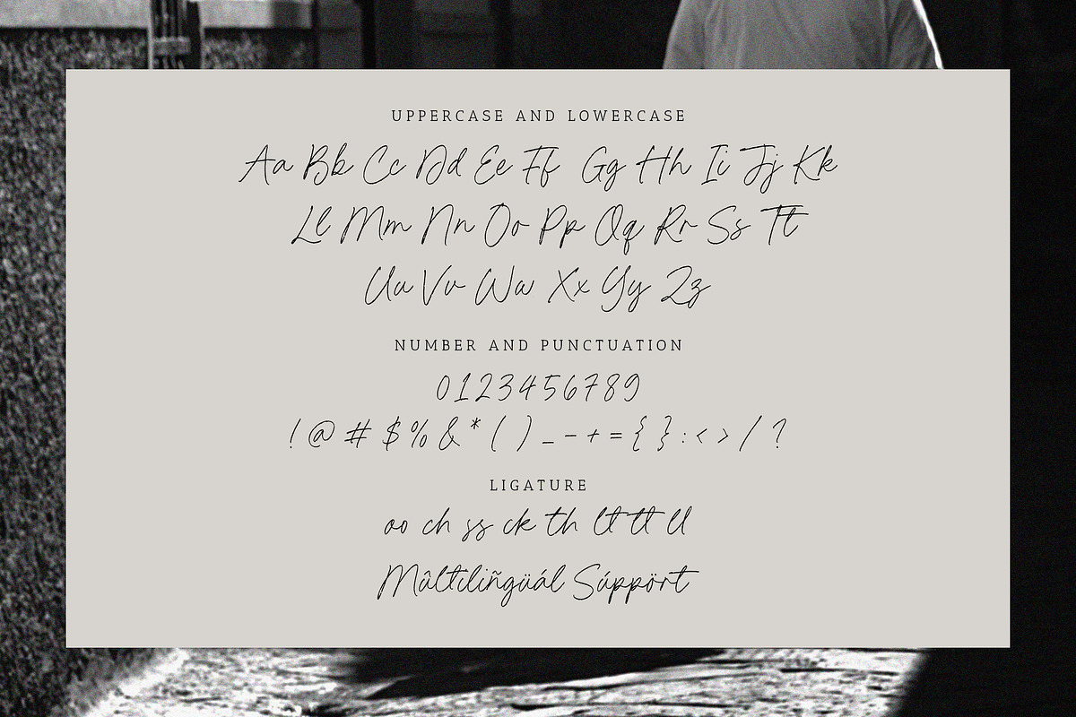 Dimitra Bothani Font, a Script Font by Timurtype (Photo 6 of 7)