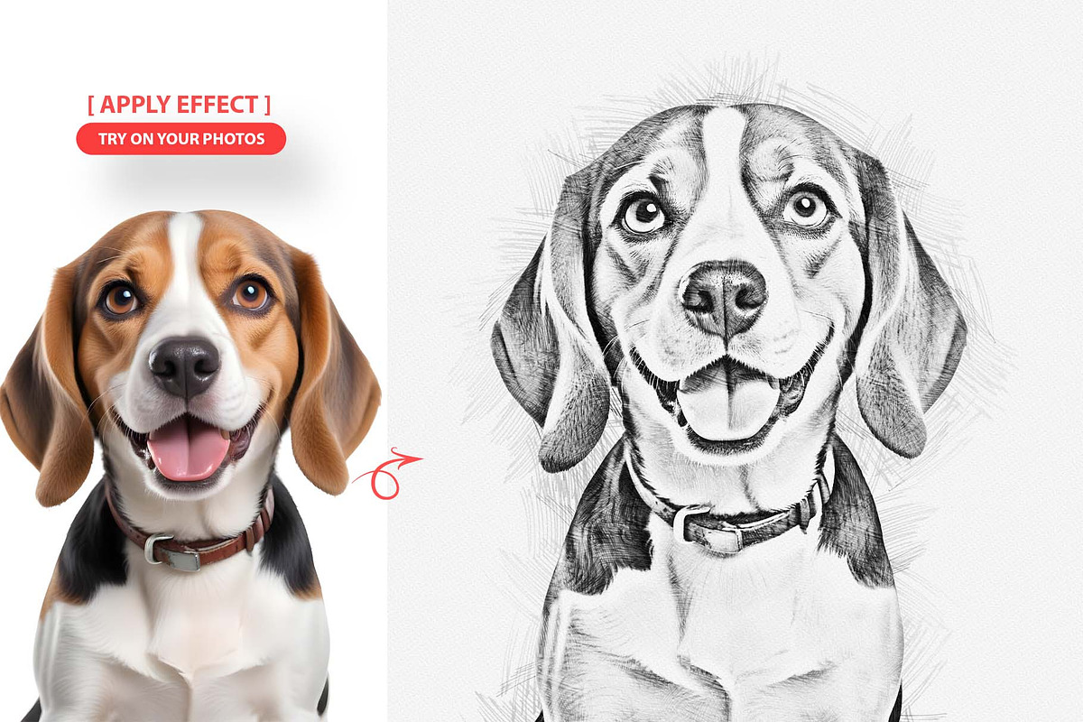 Pencil Sketch Photoshop Action, an Action Add-On by MRI STUDIO (Photo 3 of 14)