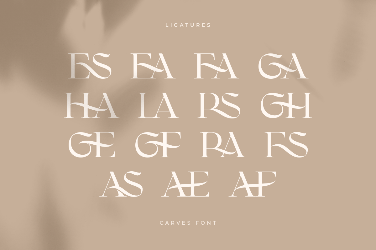 CARVES - Modern Display Font, a Sans Serif Font by Sensatype (Photo 17 of 20)