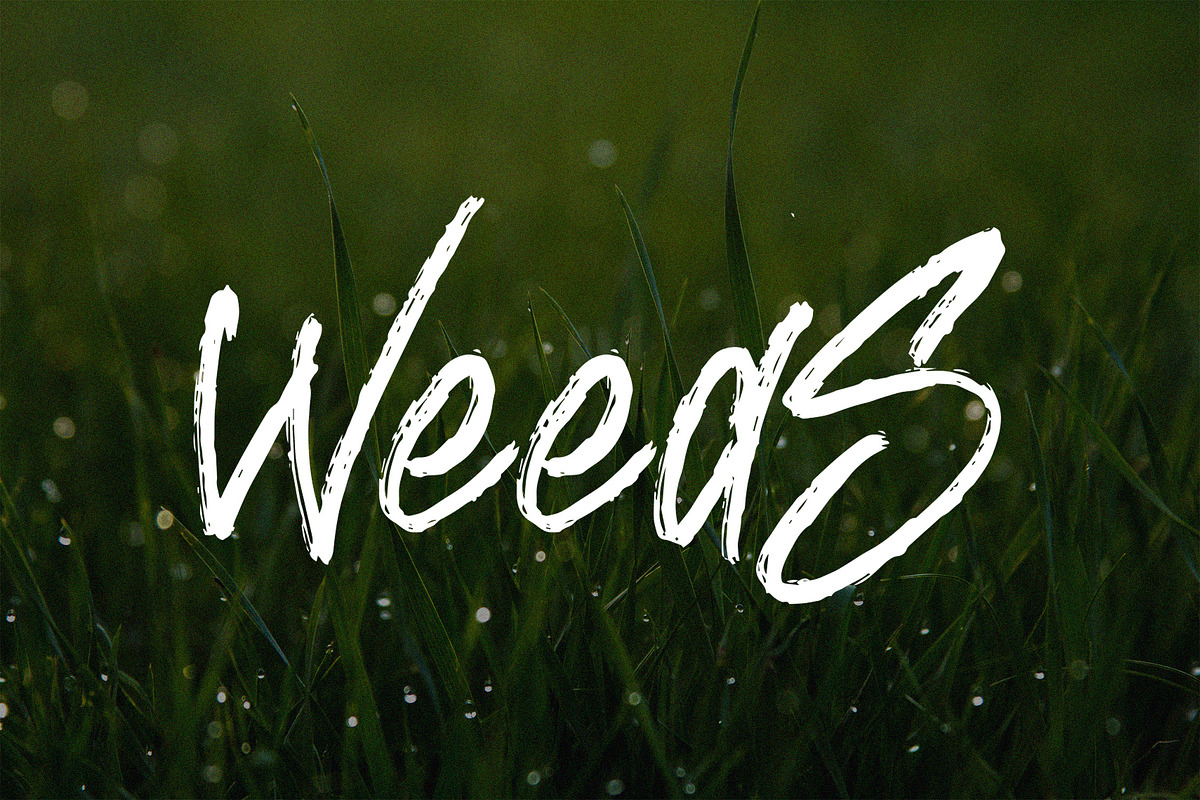 BREAKING RULE - Rough Brush Font, a Script Font by NTC Graphic (Photo 7 of 9)