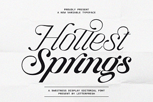 Hottest Springs Typeface, a Script Font by Letter Fresh