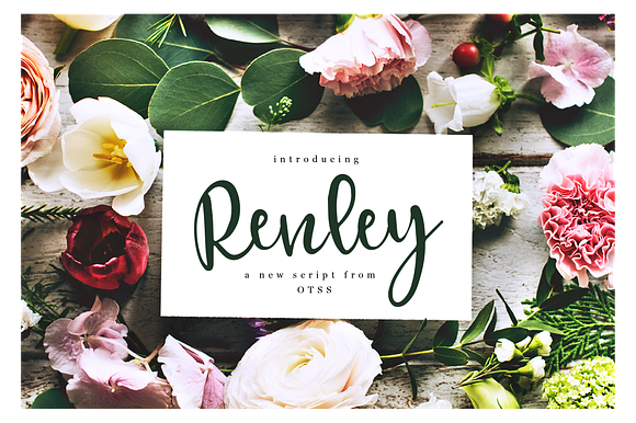 Renley - An Everyday Script preview 4