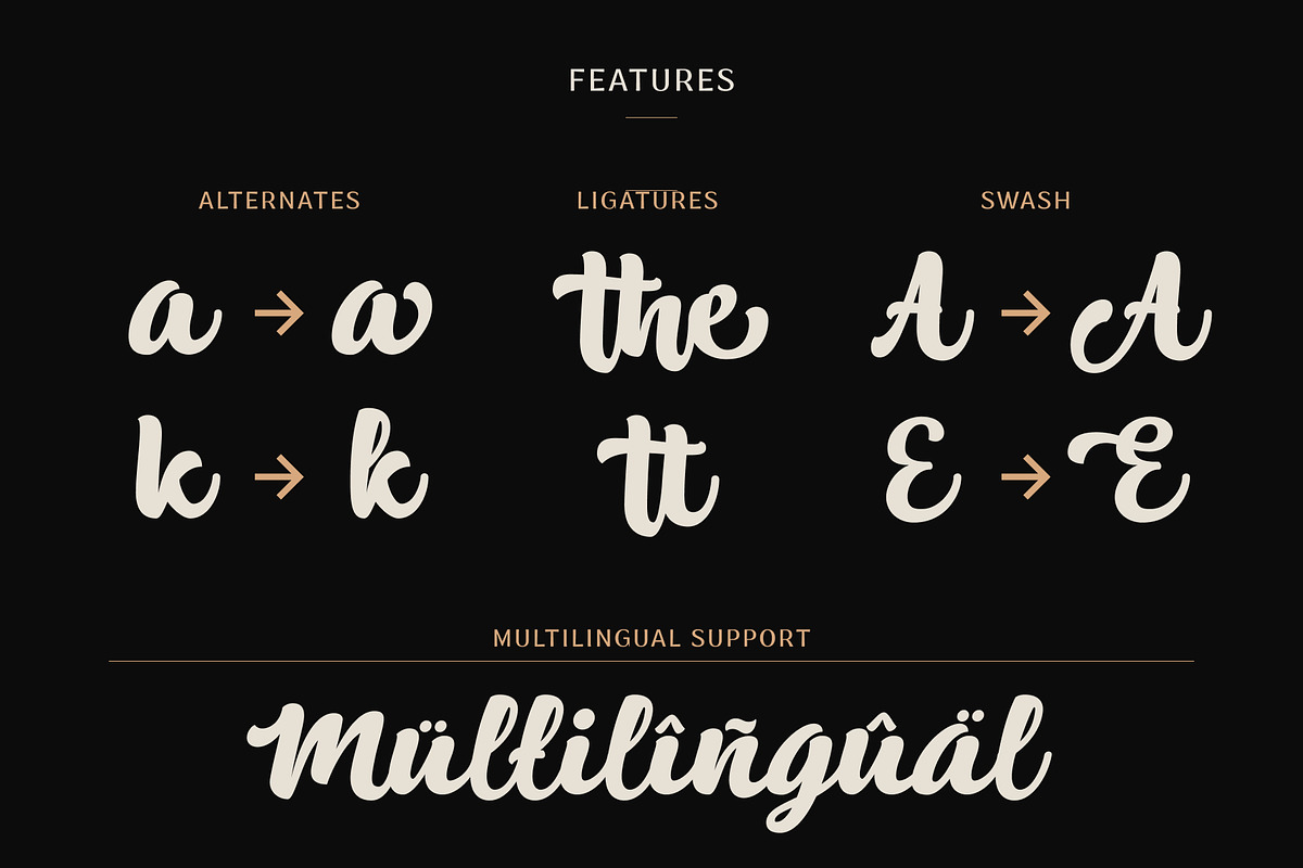 Alaska, a Script Font by ShowUp! Studio (Photo 3 of 11)