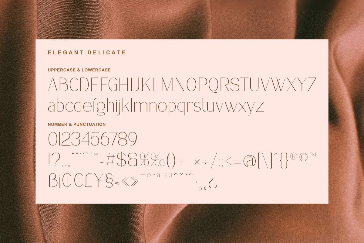 Delicate Elegance - Elegant Serif, a Serif Font by Masyafi Studio (Photo 4 of 9)