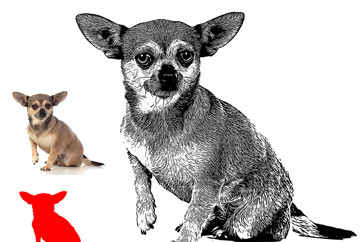 Vector Tracing Photoshop Action, an Action Add-On by MRI STUDIO (Photo 9 of 21)