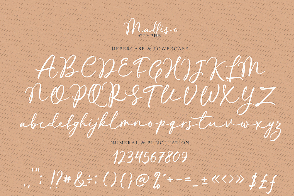 Malisso - Handwritten Script preview 7