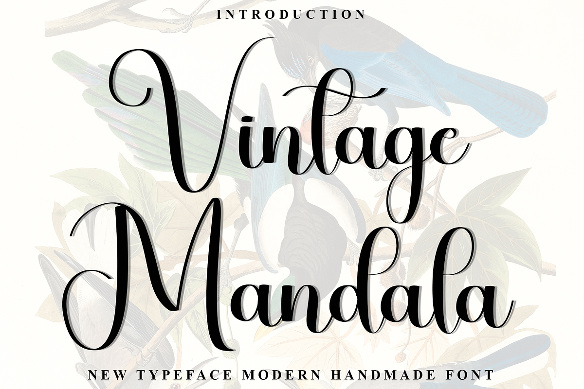 Vintage Mandala, a Handwritten Font by InermediaSTUDIO (Photo 1 of 8)