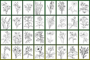 Wild Flowers Coloring Page, a Graphic by Forhadx5 (Thumbnail 9 of 15)