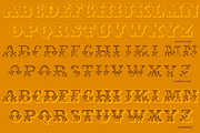 Dusty Circus LTD, a Serif Font by Baseline Fonts (Thumbnail 4 of 5)