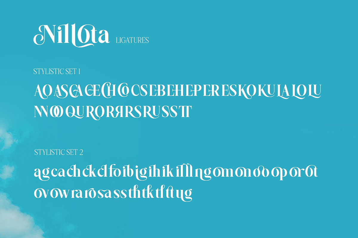 Nilota Typeface, a Serif Font by alit design (Photo 7 of 20)