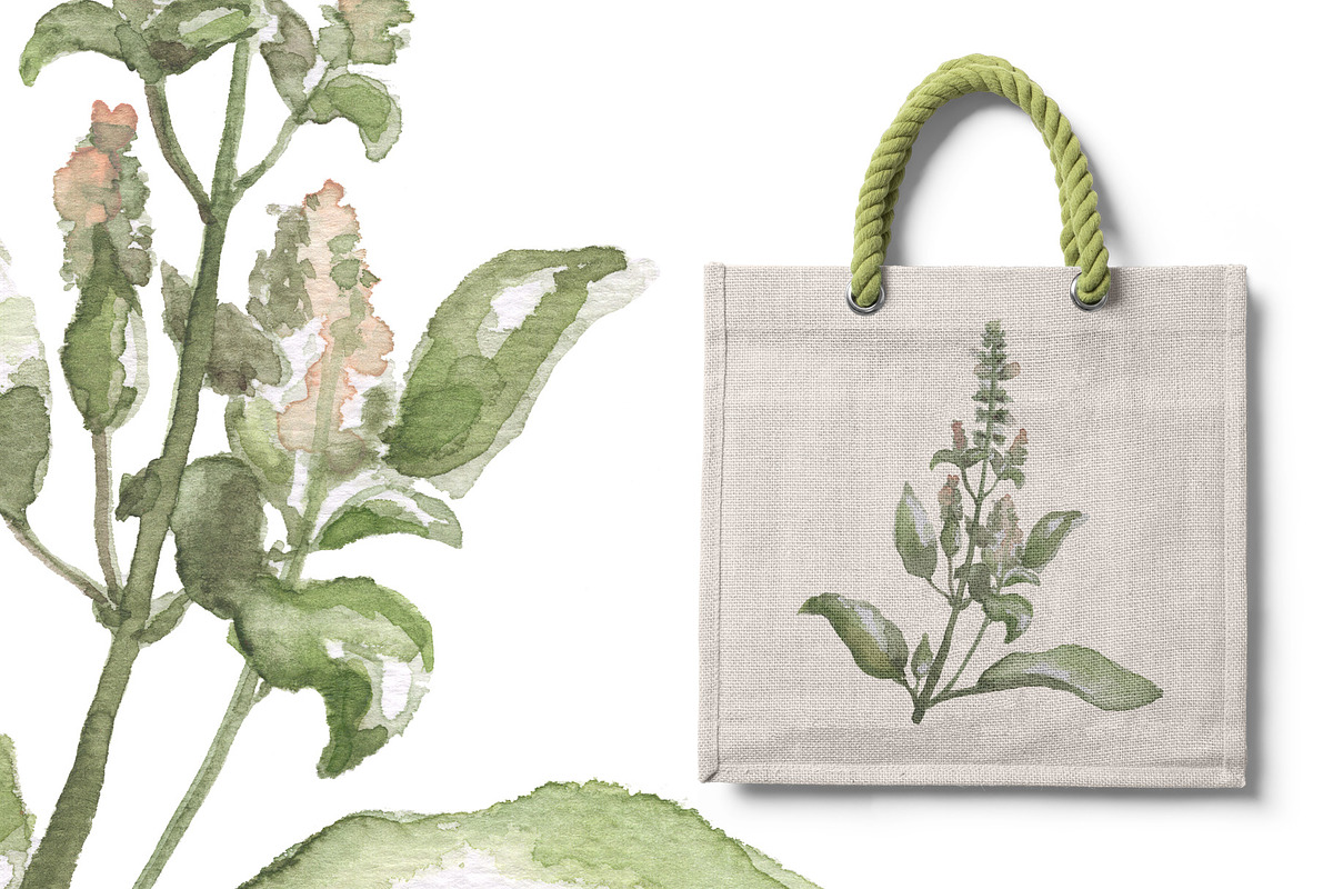 Green Basil Botanical Illustration, a Food Illustration by RabbitAndPencil (Photo 3 of 3)