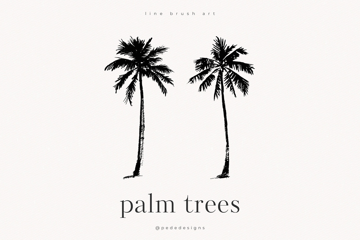 Palm Trees, an Object Illustration by PeDe Designs (Photo 4 of 9)